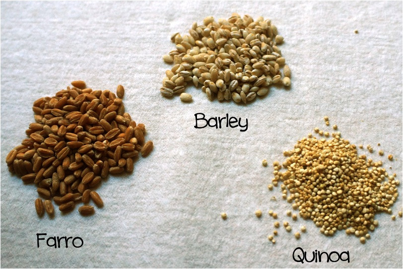 Ancient Grain Quinoa
 quinoa – Kelly Toups MLA RD LDN