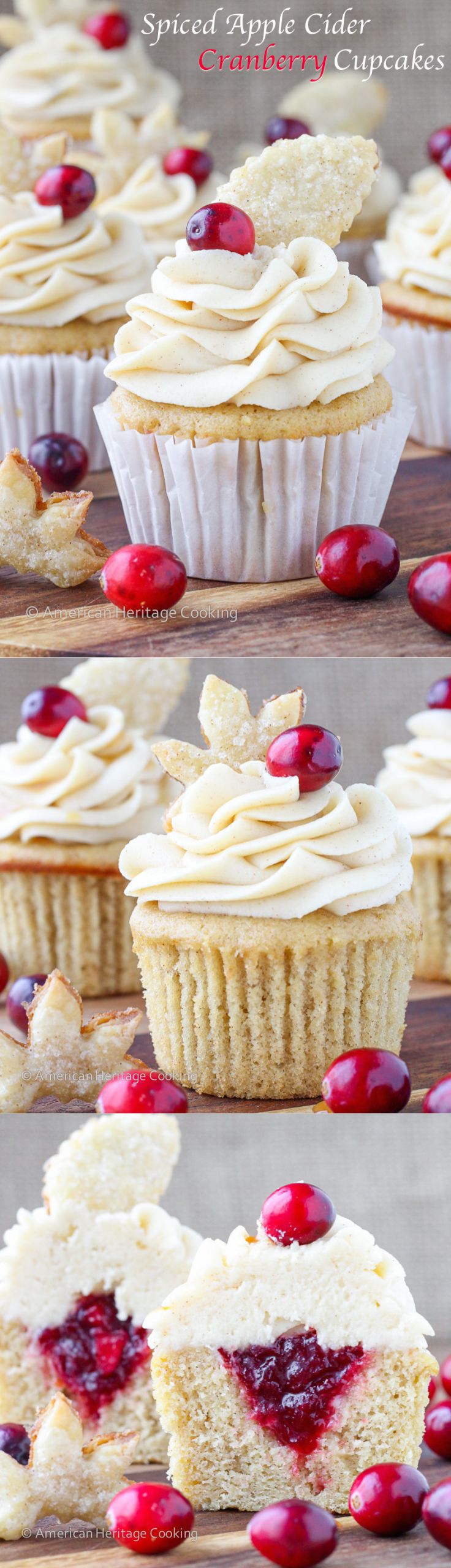 Apple Cider Cupcakes
 Spiced Apple Cider Cranberry Cupcakes