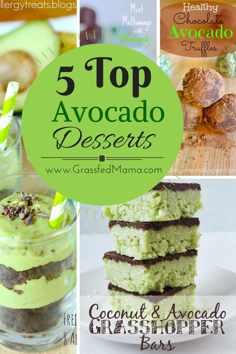 Avocado Dessert Recipes
 5 Top Avocado Dessert Recipes Grassfed Mama