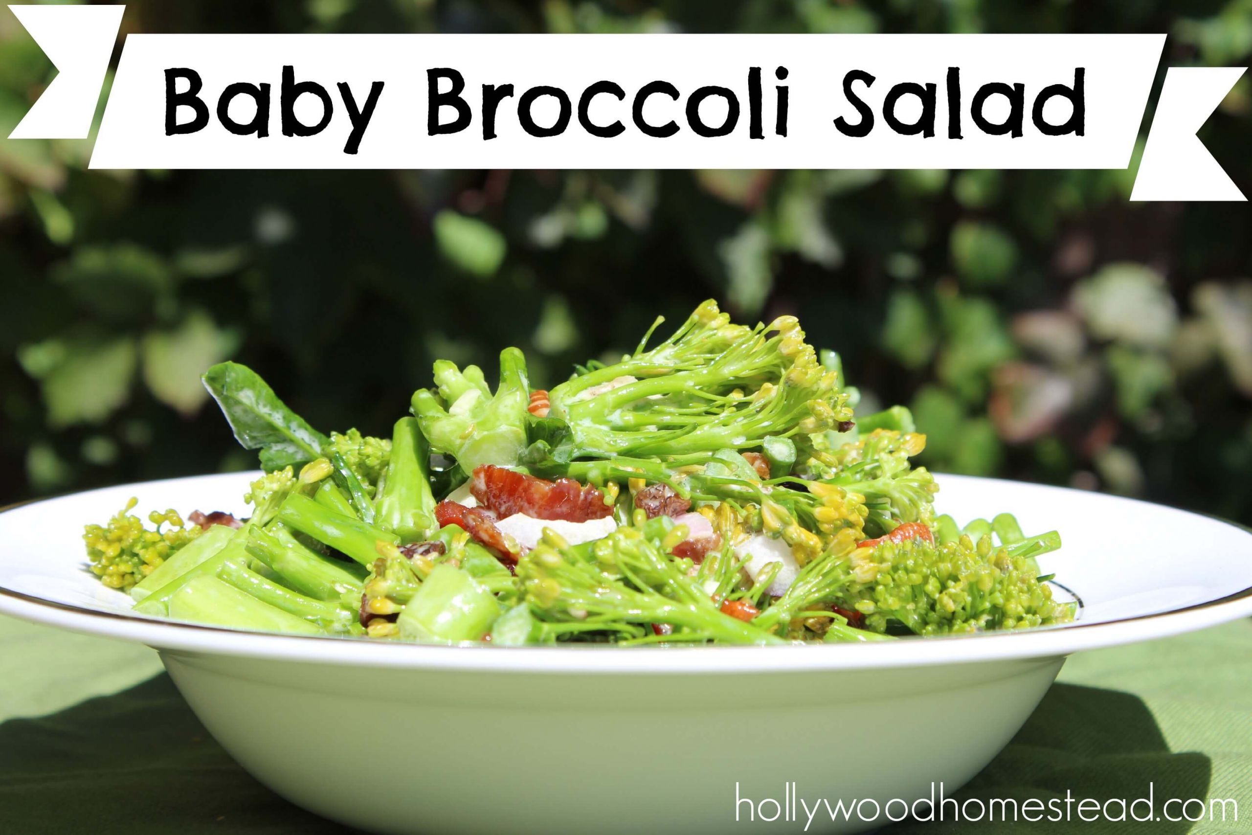 Baby Broccoli Recipe
 Baby Broccoli Salad Hollywood Homestead