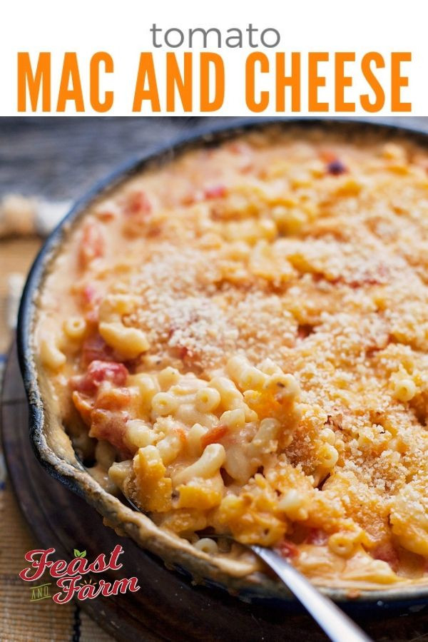 Baked Macaroni And Cheese With Tomato
 Baked mac and cheese with tomatoes Recipe