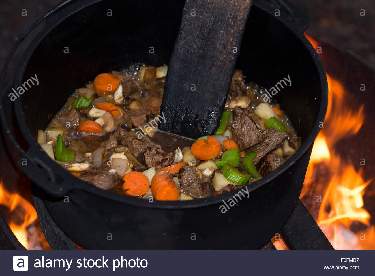 Beef Stew In Dutch Oven
 Beef stew cooking in a cast iron dutch oven over an open