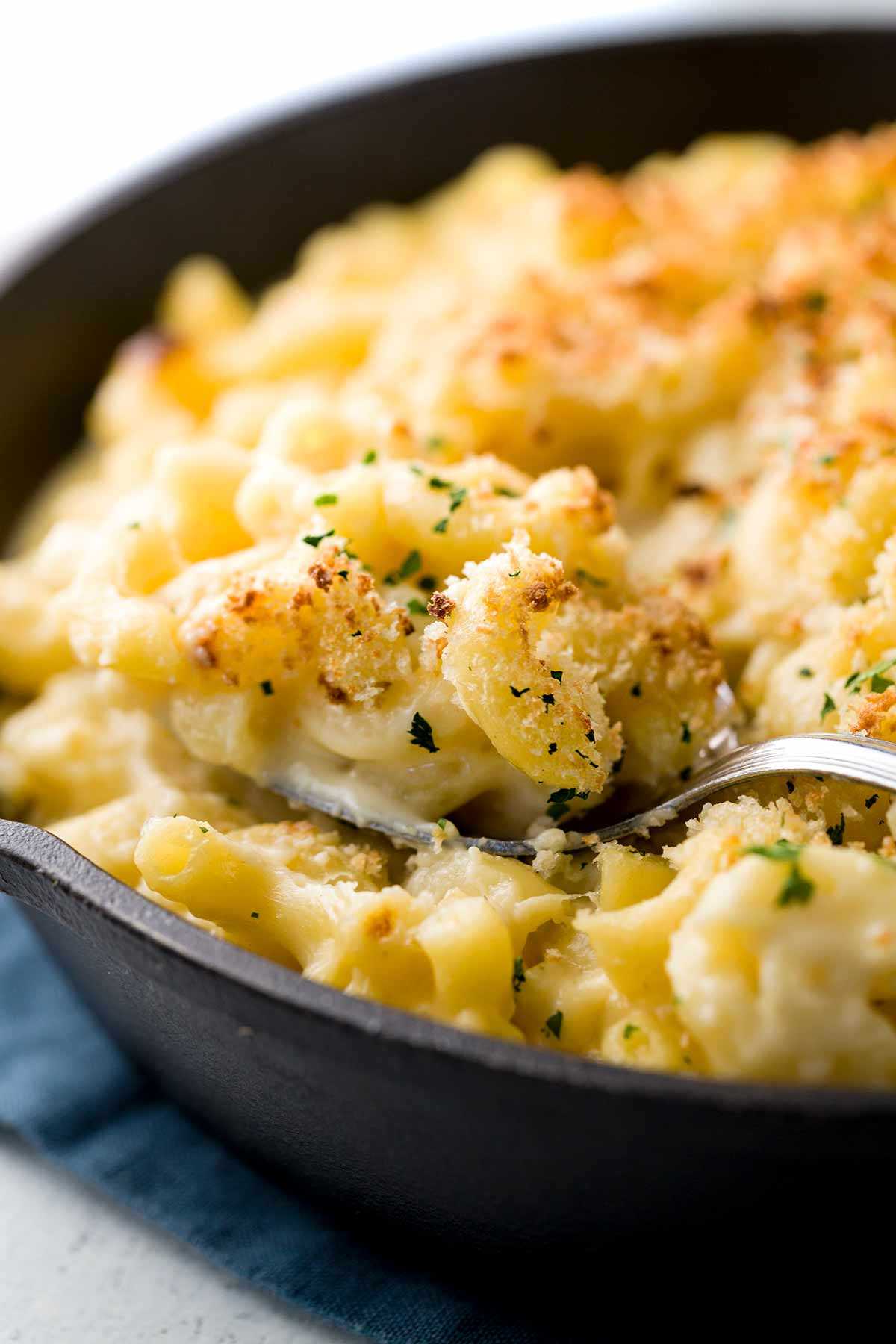 Best Baked Macaroni And Cheese Recipes
 Baked Macaroni and Cheese with Bread Crumb Topping