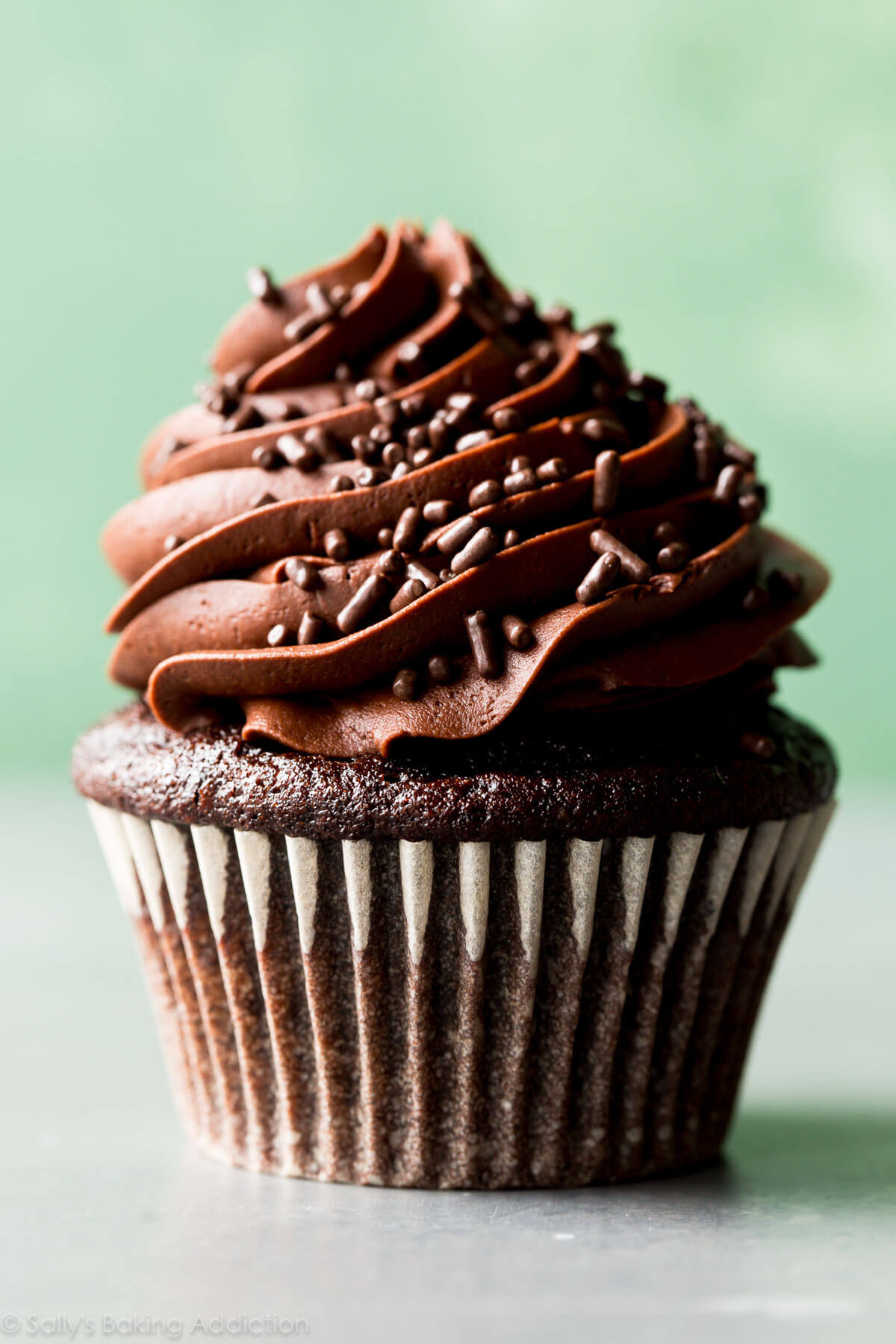 Best Chocolate Cupcakes
 Classic Chocolate Cupcakes with Vanilla Frosting Sallys