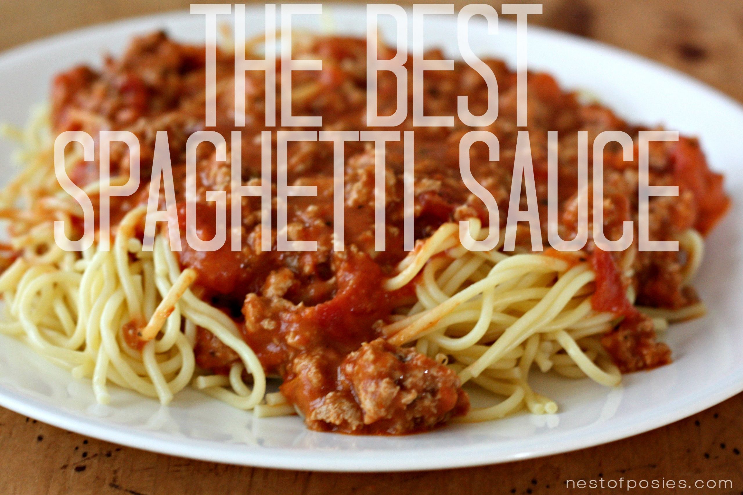 Best Spaghetti Sauce Recipe
 the best spaghetti sauce recipe