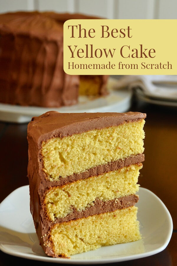 Birthday Cake Recipes From Scratch
 The Best Yellow Cake Recipe Homemade from Scratch