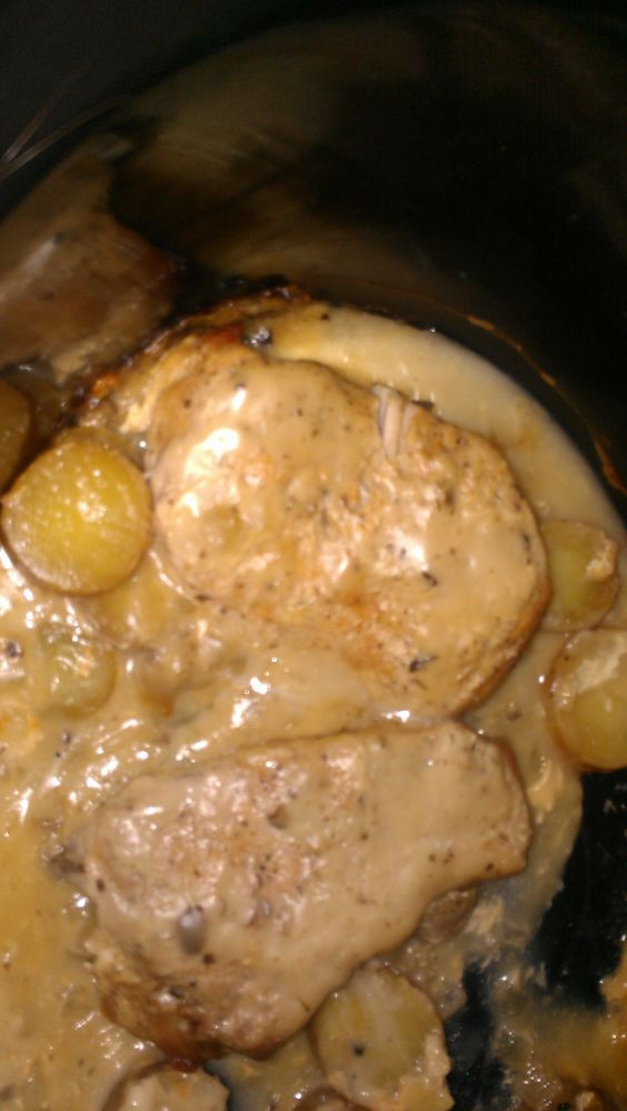Boneless Pork Chops With Cream Of Mushroom Soup
 Crock pot pork Boneless pork chops and Pork chops on