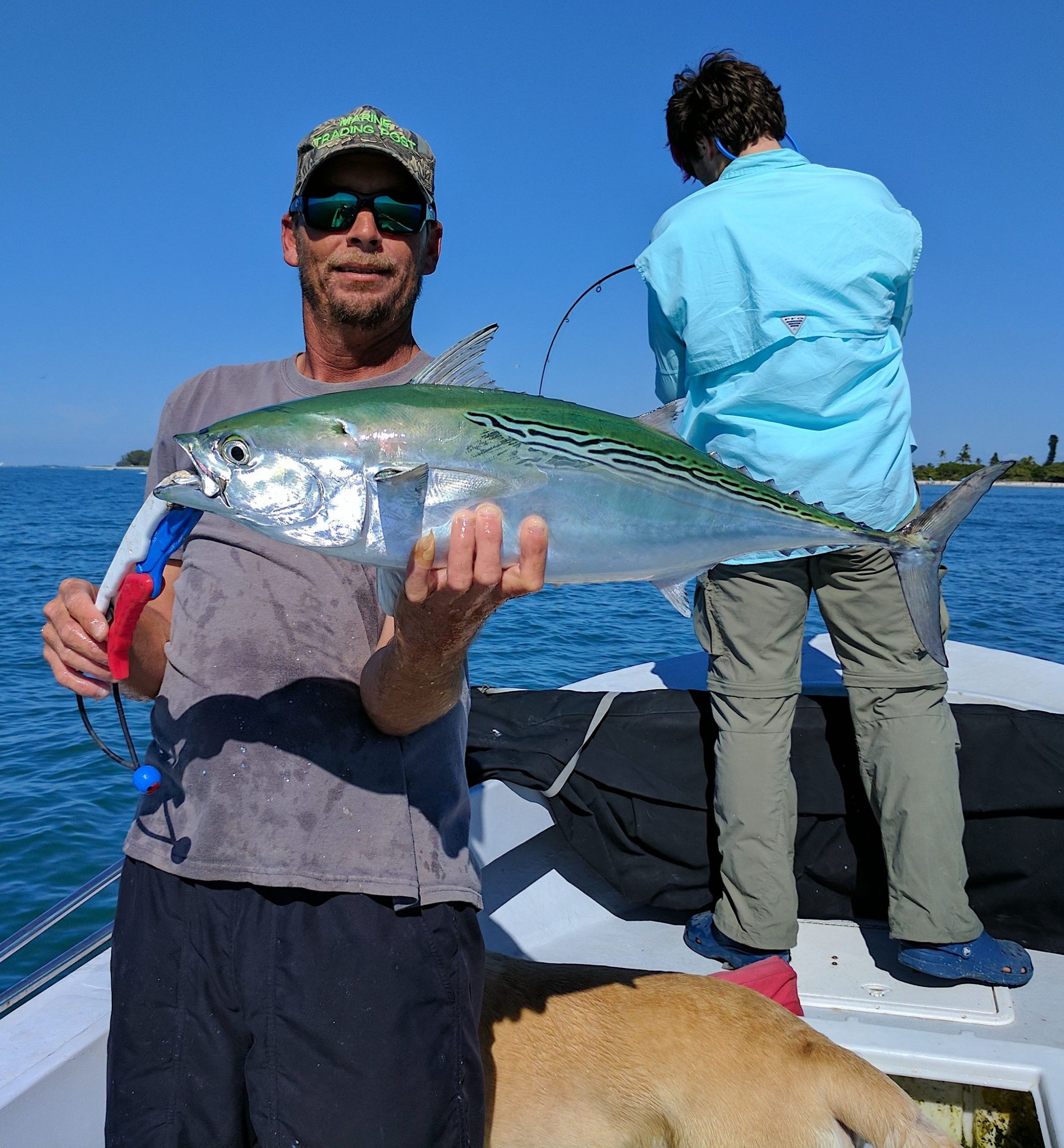 Bonita Fish Recipes
 Sanibel Fishing Report Sanibel Island Florida