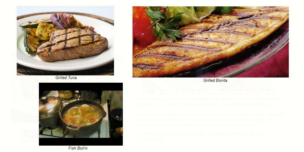 Bonita Fish Recipes
 Gage likes his fish grilled