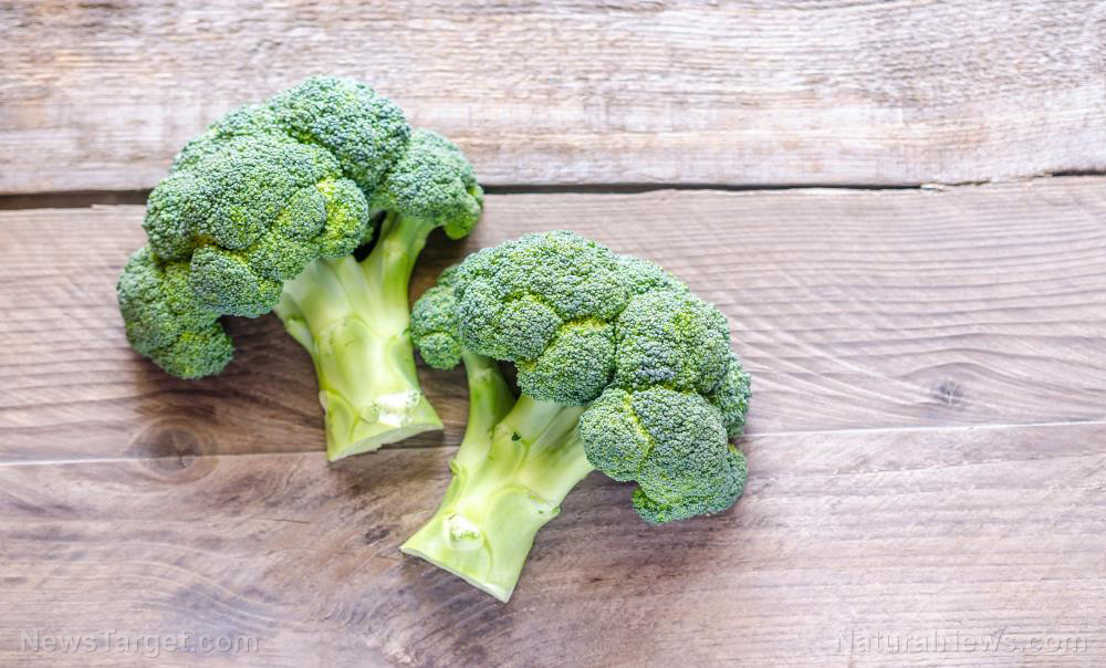 Broccoli Dietary Fiber
 Broccoli is one of the most nutrient dense foods you can eat