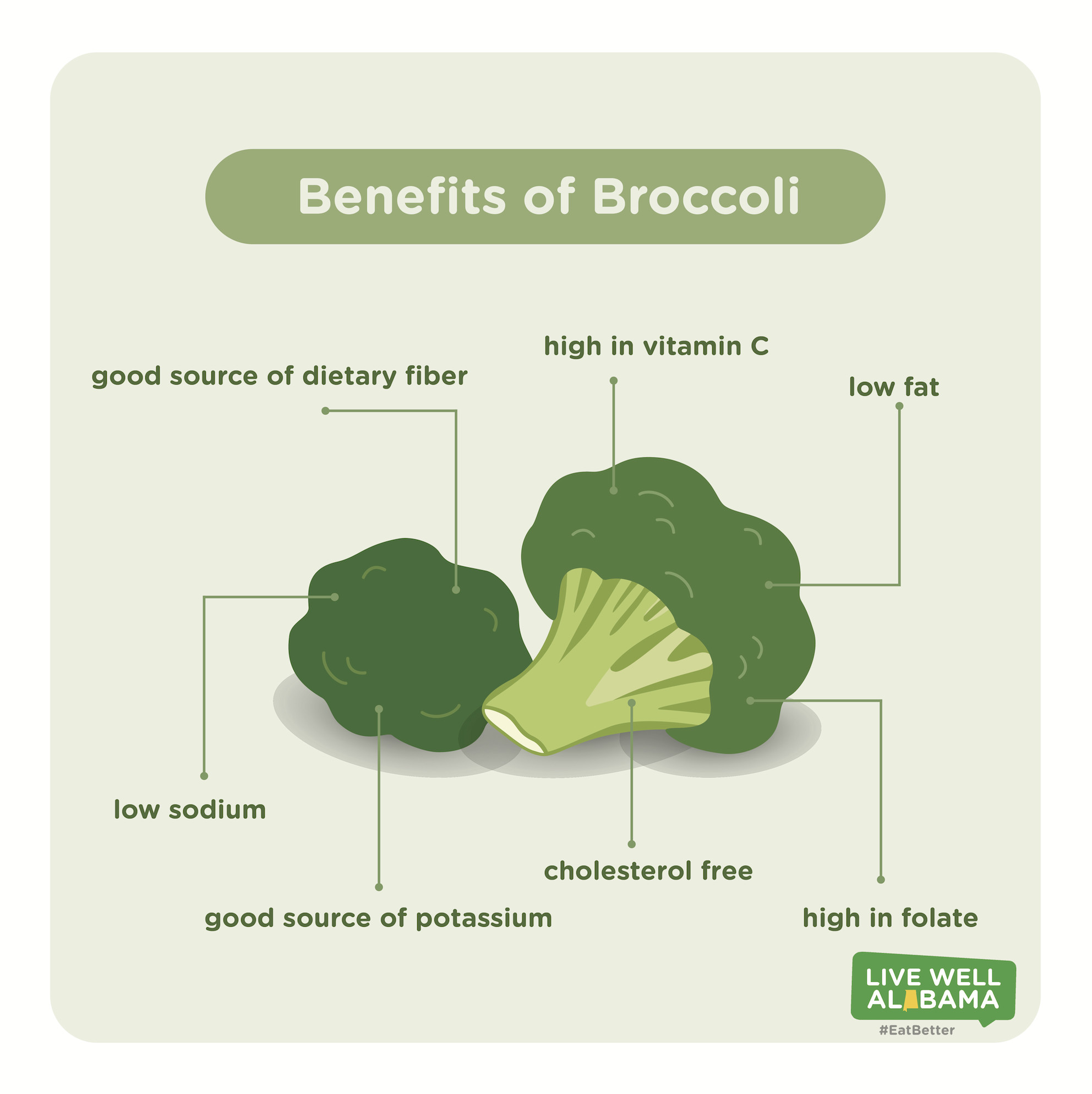Broccoli Dietary Fiber
 Broccoli Nutrition Selection Storage