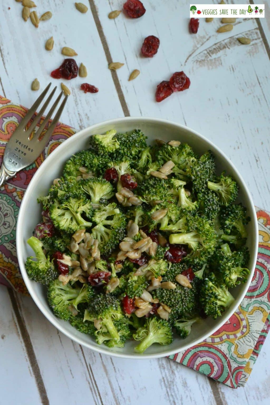 Broccoli Salads with Sunflower Seeds Lovely Broccoli Salad with Sunflower Seeds and Cranberries