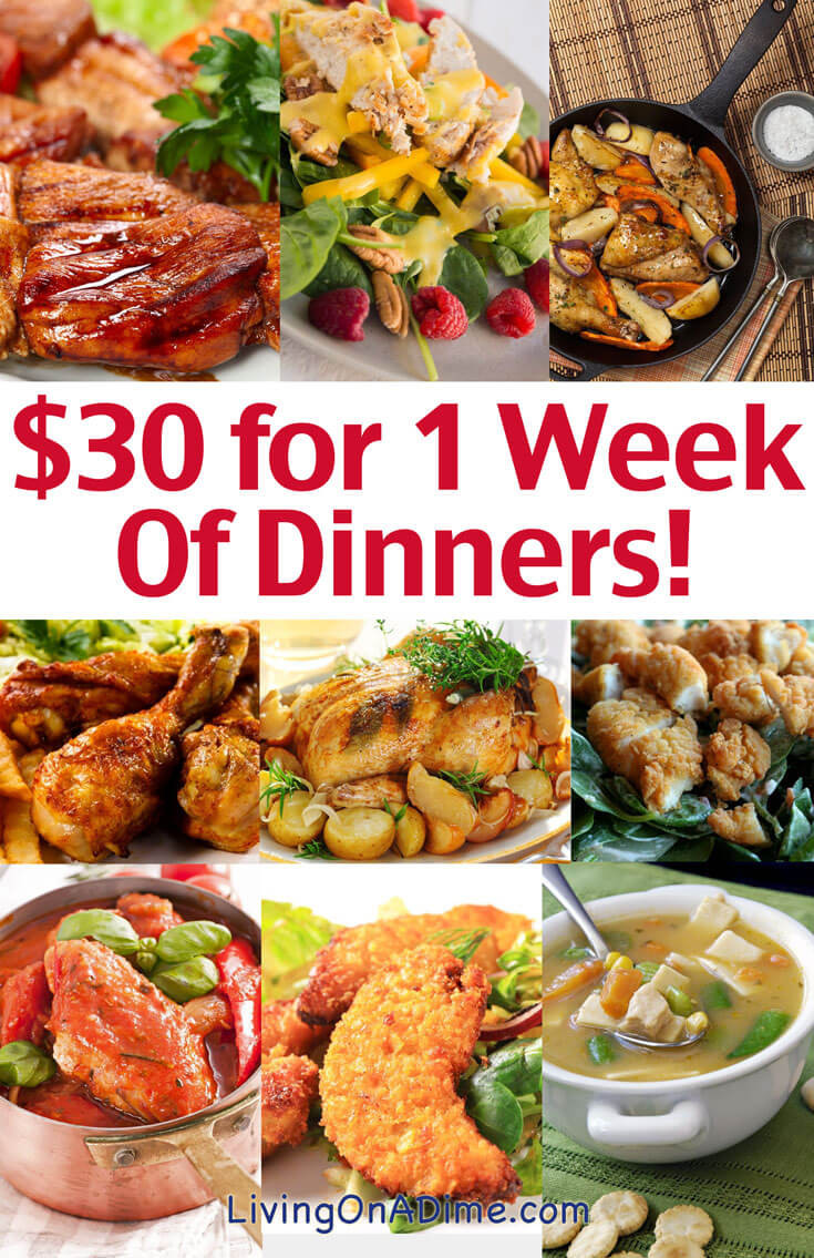 Budget Dinner Ideas
 Cheap Family Dinner Ideas $30 for 1 Week of Dinners