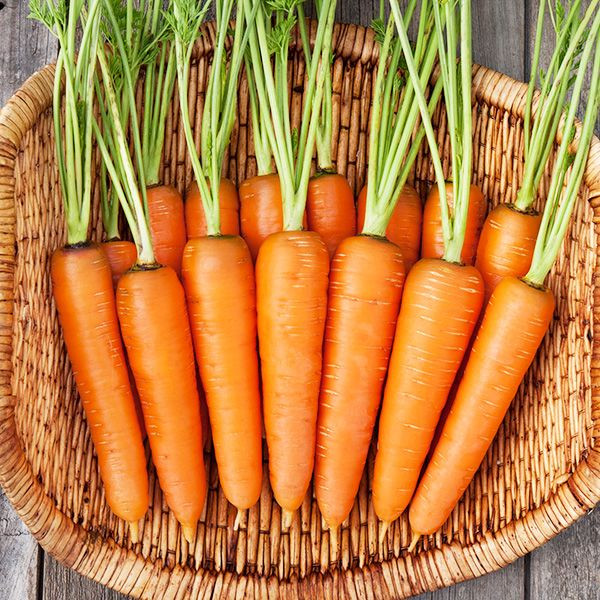 Carrot Dietary Fiber
 High Fiber Foods You Should Eat