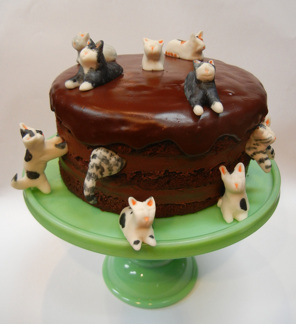 Cat Birthday Cake
 Ronna s Blog Happy birthday Richard x 2