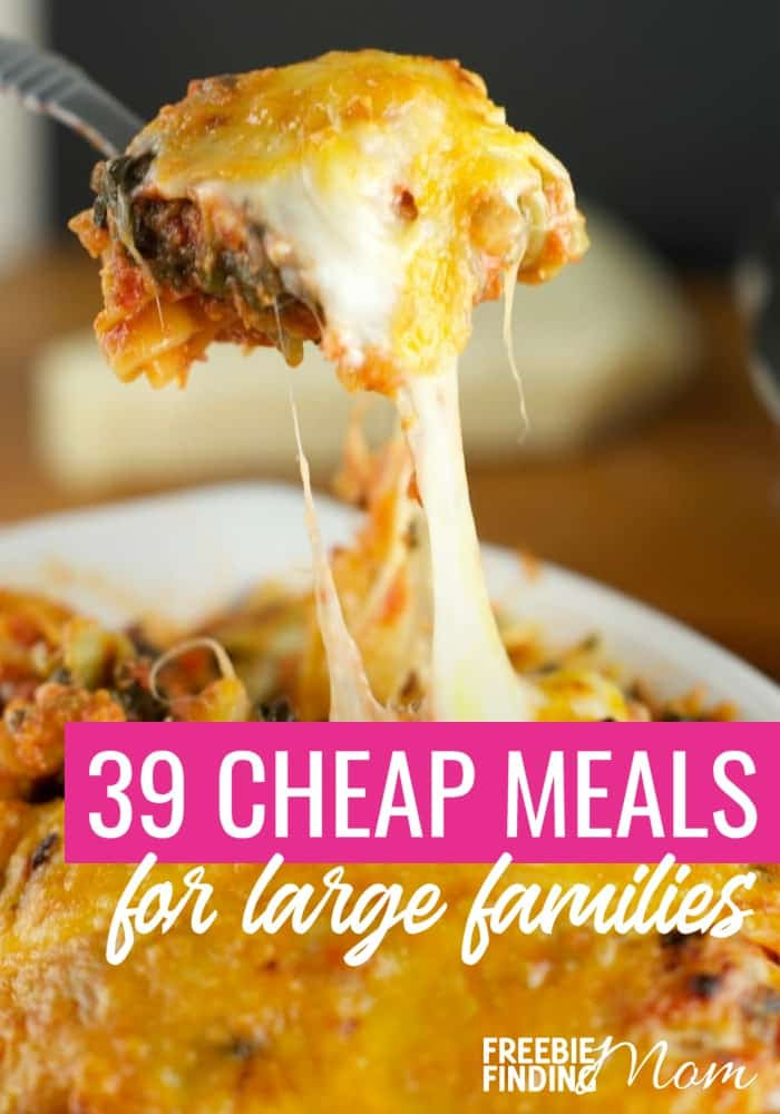 Cheap Dinner Ideas For Family
 39 Cheap Meals for Families