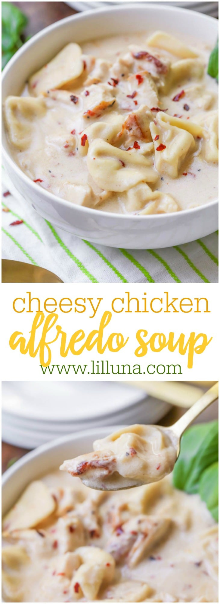 Chicken Alfredo Soup
 Easy Chicken Alfredo Soup