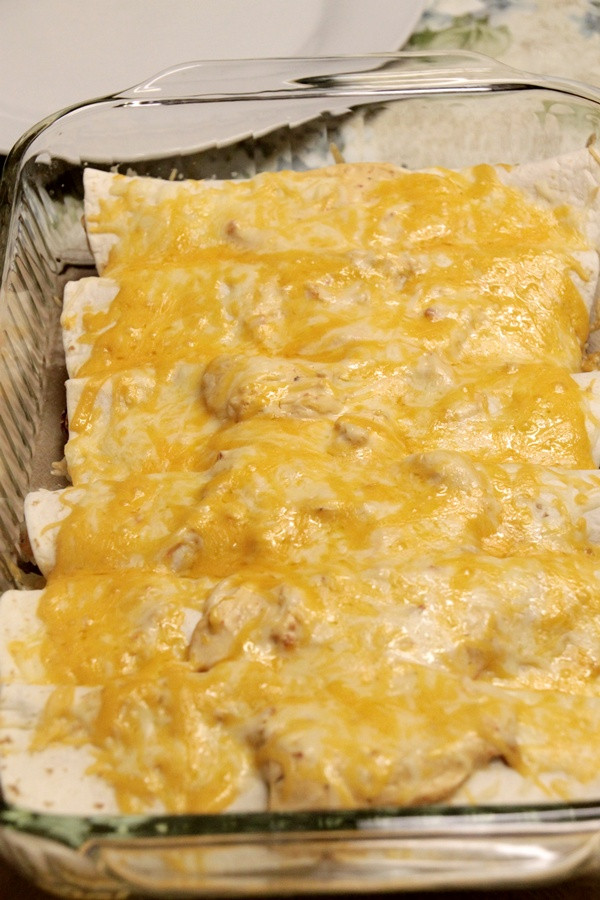 Chicken Enchiladas Recipe Cream Cheese
 Chicken Enchiladas with PHILADELPHIA Cream Cheese
