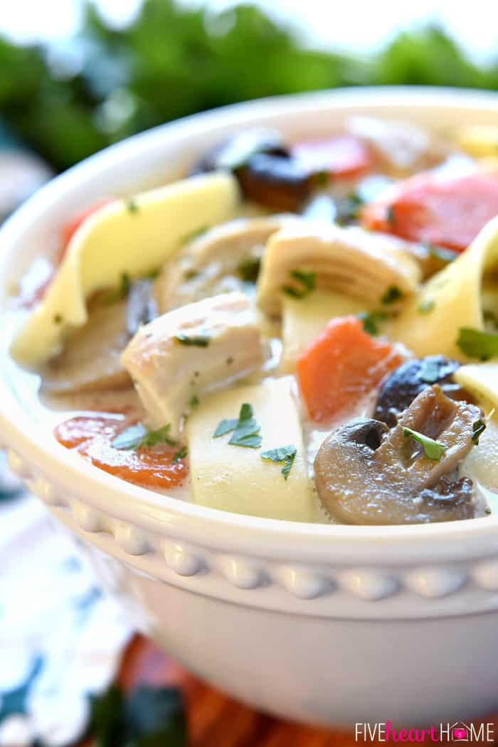 Chicken Mushroom Soup Crock Pot
 The BEST Slow Cooker Chicken Noodle Soup • FIVEheartHOME