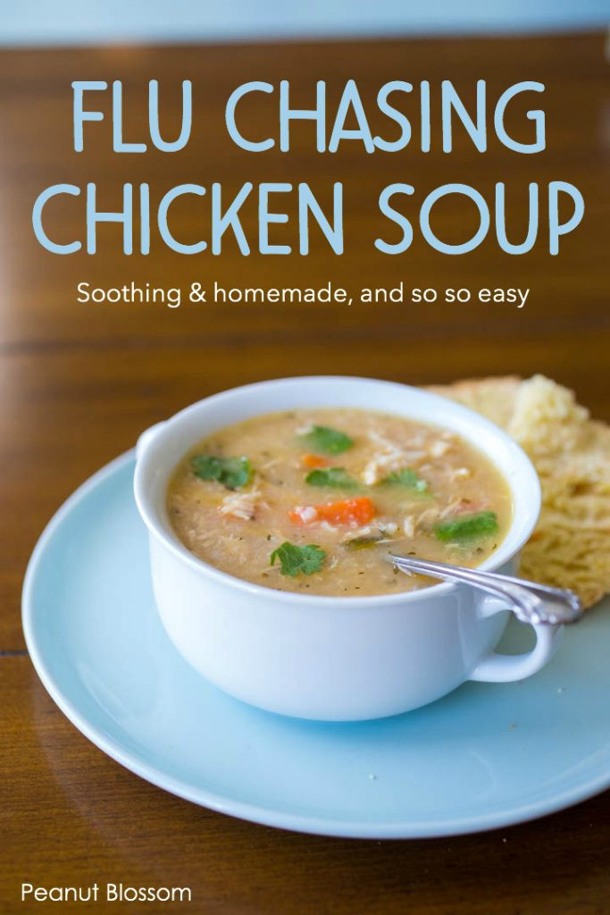 Chicken Soup Recipe For Cold
 Best chicken soup recipe for a cold casaruraldavina