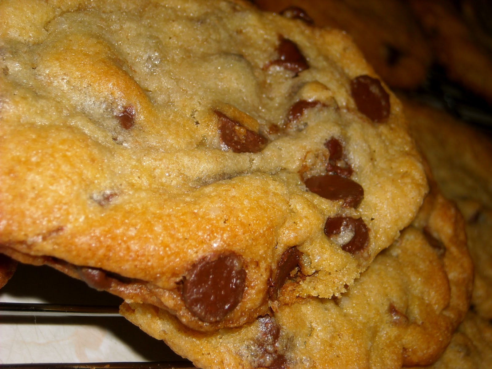 Chocolate Cookies With No Eggs
 The Land of Peapodriot Chocolate Chip Cookies No Eggs