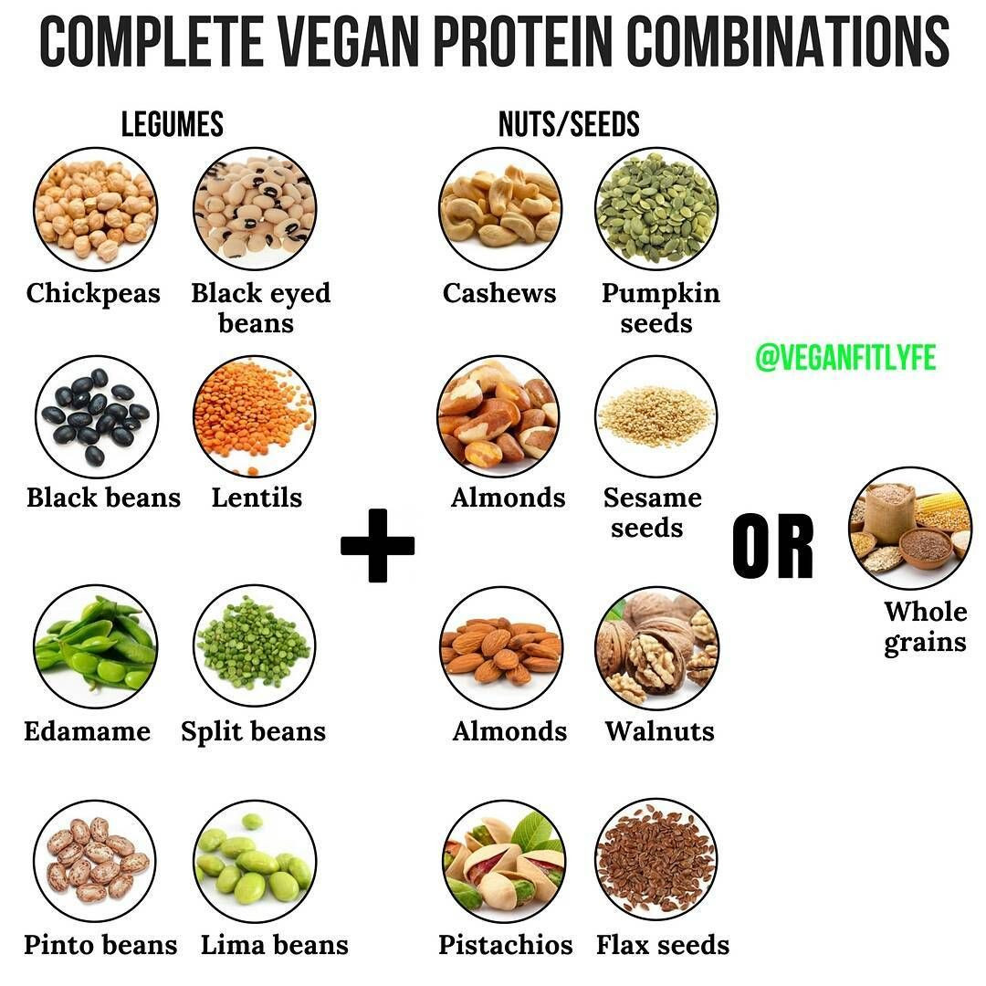 Complete Vegetarian Protein
 Vegan Fit Life on Instagram “ plete Protein