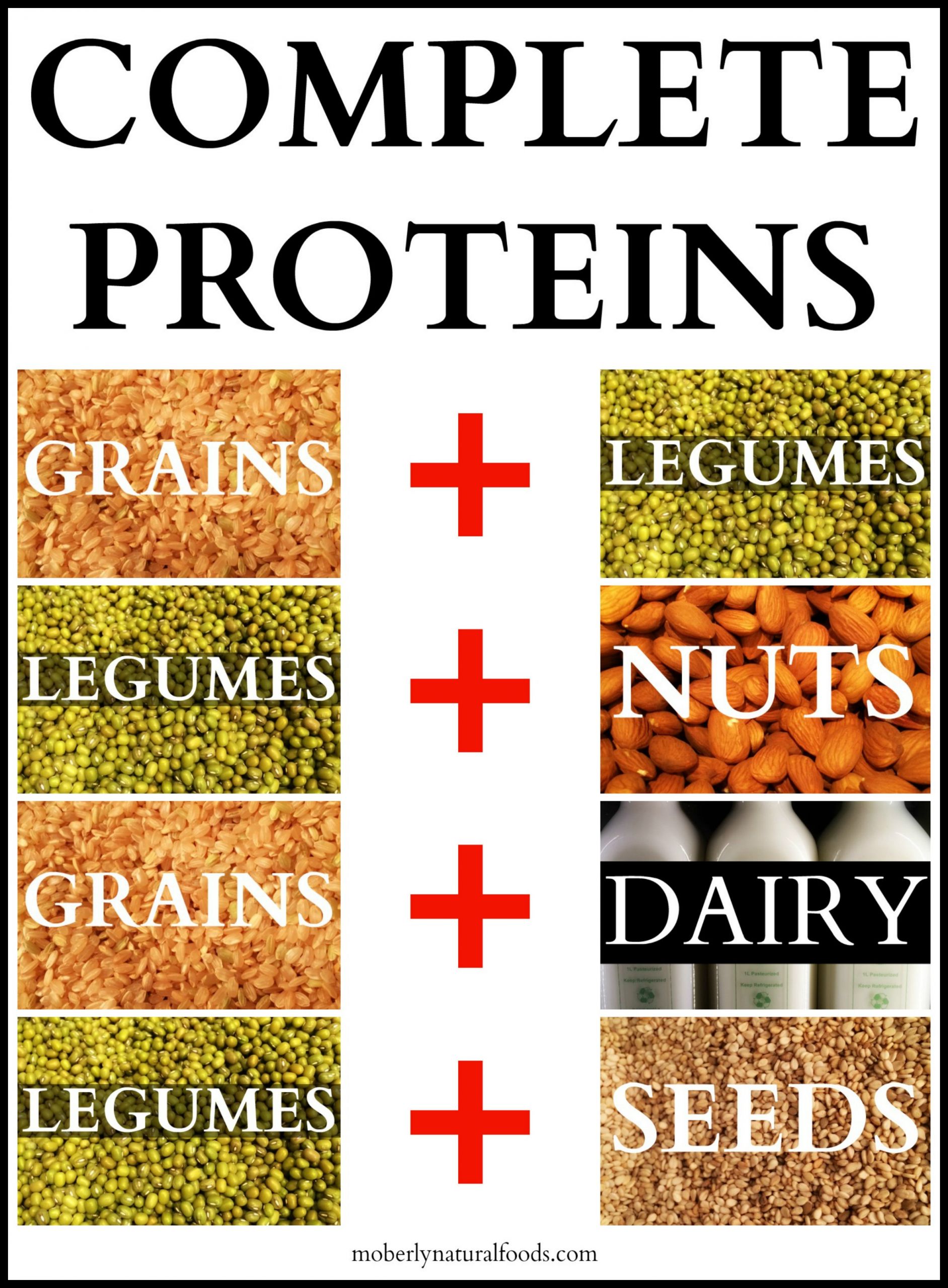 Complete Vegetarian Protein New Help My Kids are Ve Arian where Will they Get their