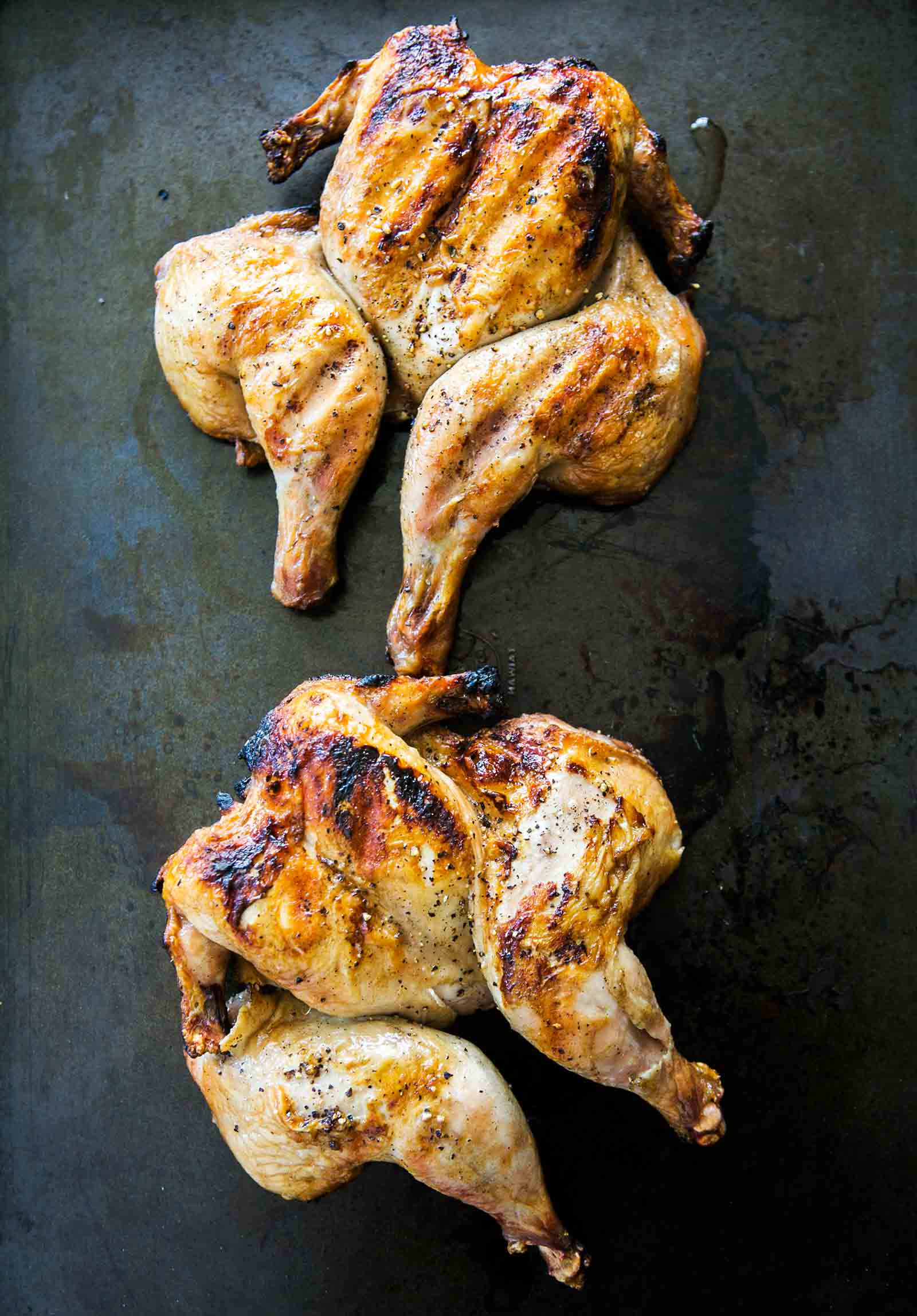 Cornish Game Hens Recipe Inspirational Grilled Cornish Game Hens Recipe