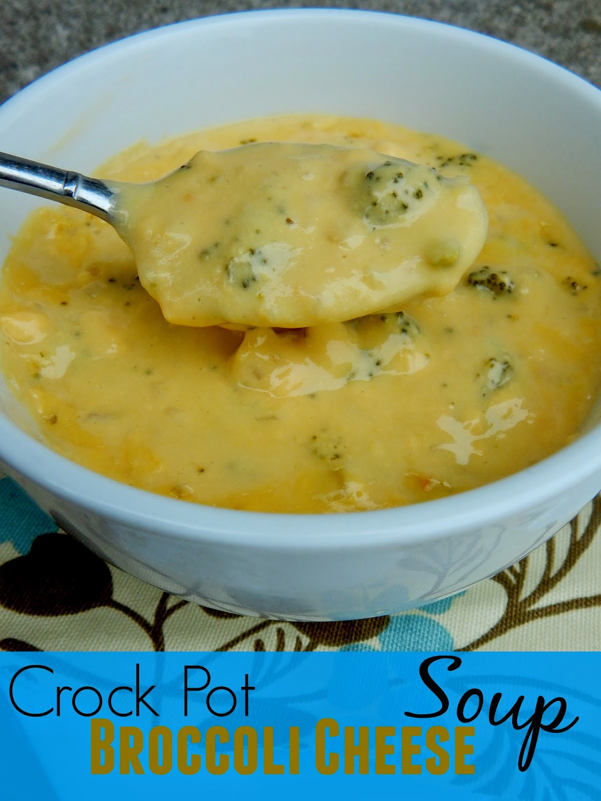 Crockpot Broccoli Cheese Soup
 Ally s Sweet and Savory Eats Crock Pot Broccoli Cheese Soup