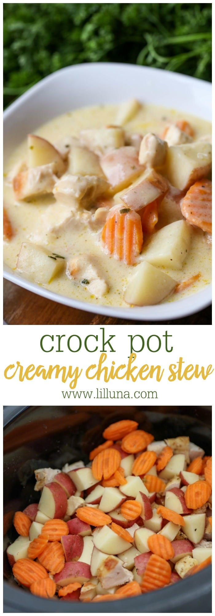 Crockpot Chicken Stew
 Crock Pot Creamy Chicken Stew Lil Luna