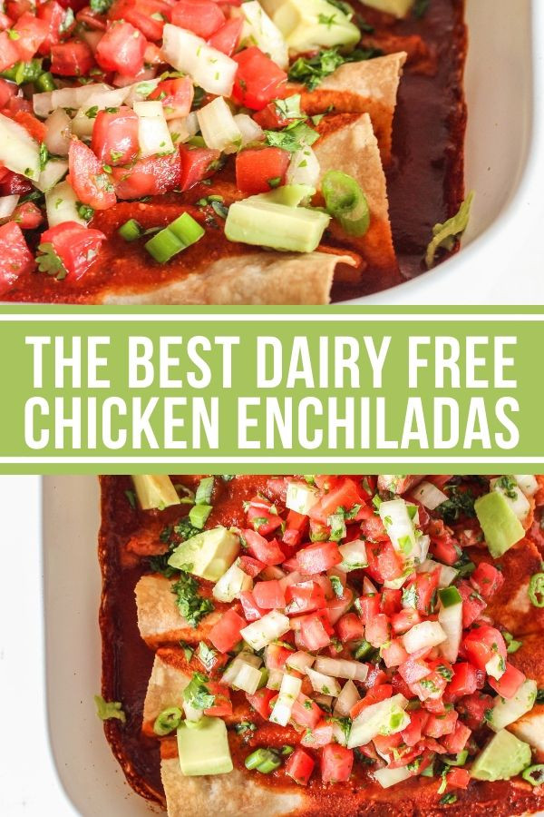 Dairy Free Chicken Enchiladas
 Chicken Enchiladas Recipe