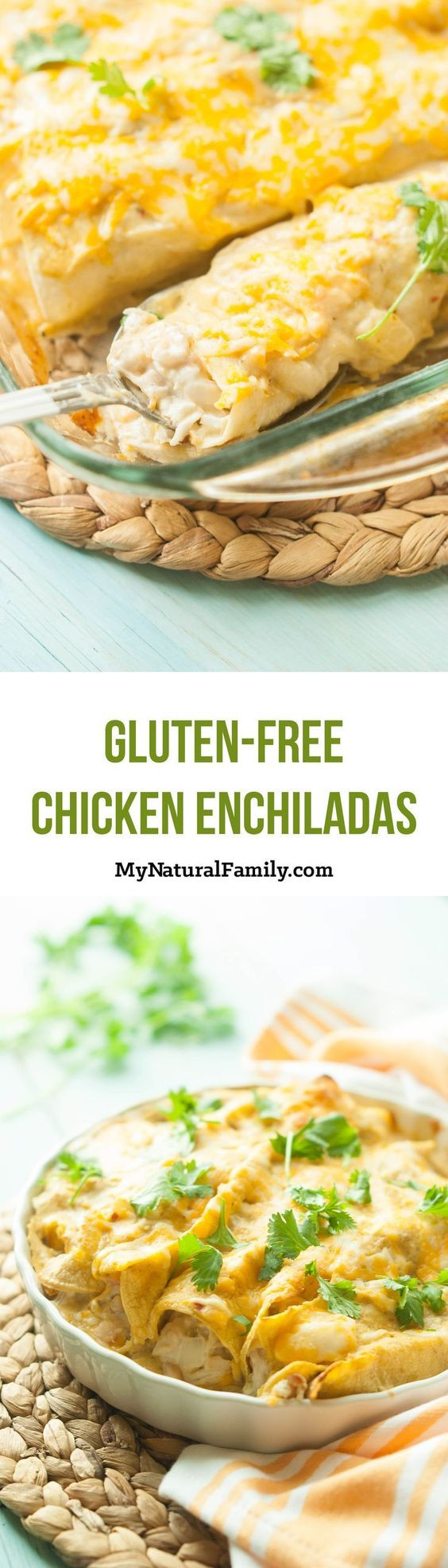 Dairy Free Chicken Enchiladas
 Gluten Free Chicken Enchiladas Recipe