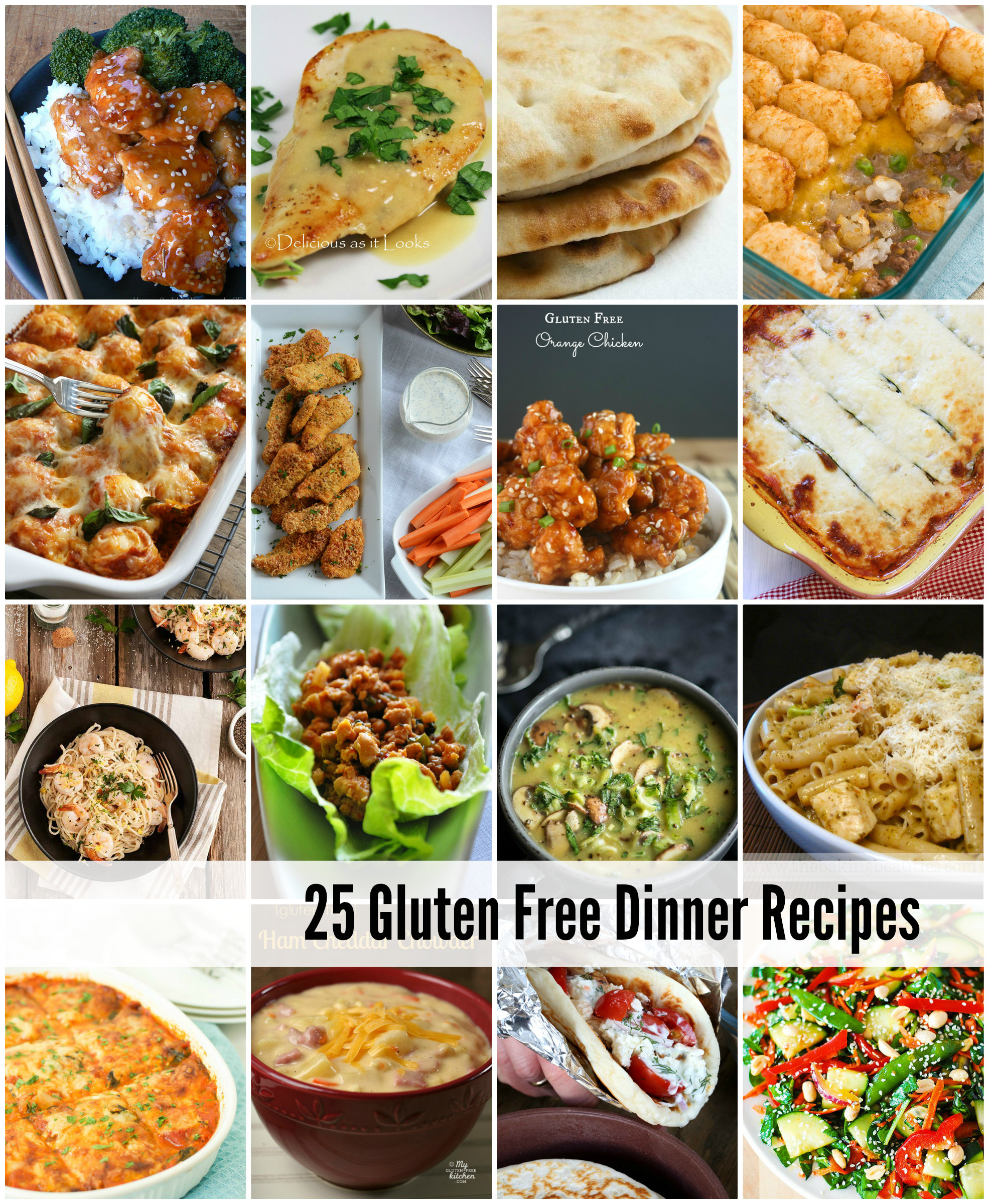 Dairy Free Dinners
 25 Gluten Free Dinner Recipes The Idea Room