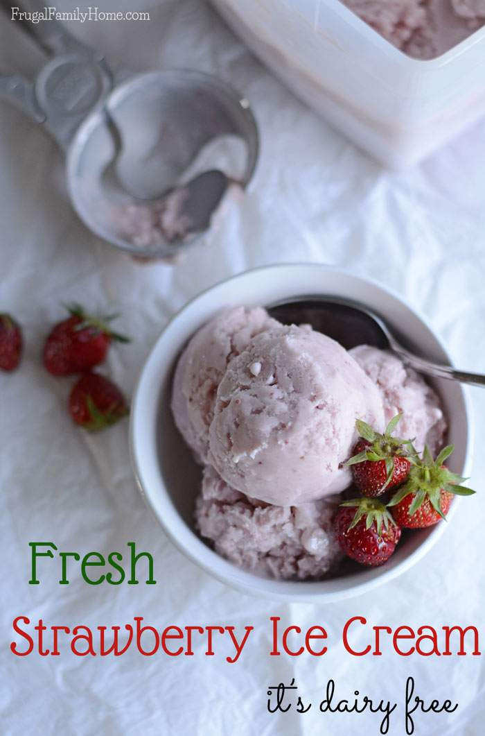 Dairy Free Ice Cream Recipes
 Dairy Free Ice Cream Recipe Fresh Strawberry