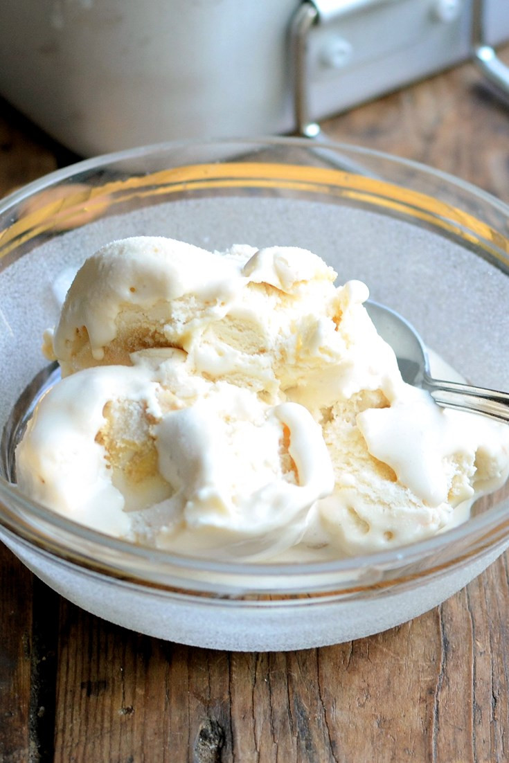 Dairy Free Ice Cream Recipes
 Dairy Free Ice Cream Recipe Almond Milk Ice Cream Great