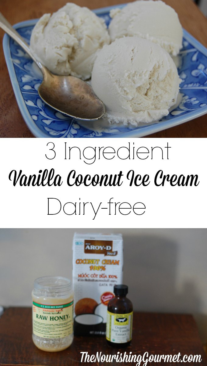 Dairy Free Ice Cream Recipes
 Vanilla Coconut Milk Ice Cream Dairy free Goodness