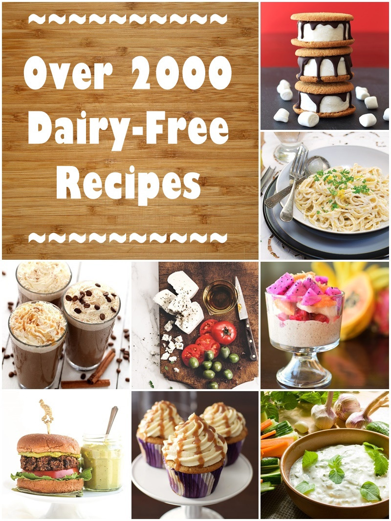 Dairy Free Recipes
 Dairy Free Recipes Over 2500 Meals Desserts Snacks & More