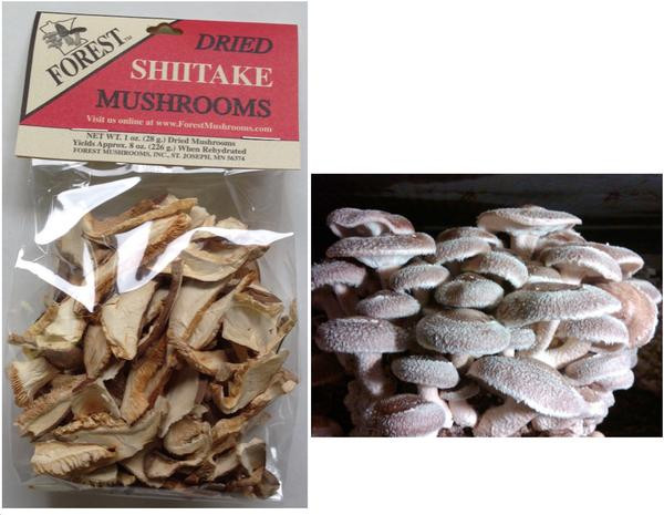 Dehydrated Shiitake Mushrooms
 Dried Shiitake Mushrooms sliced – Forest Mushrooms