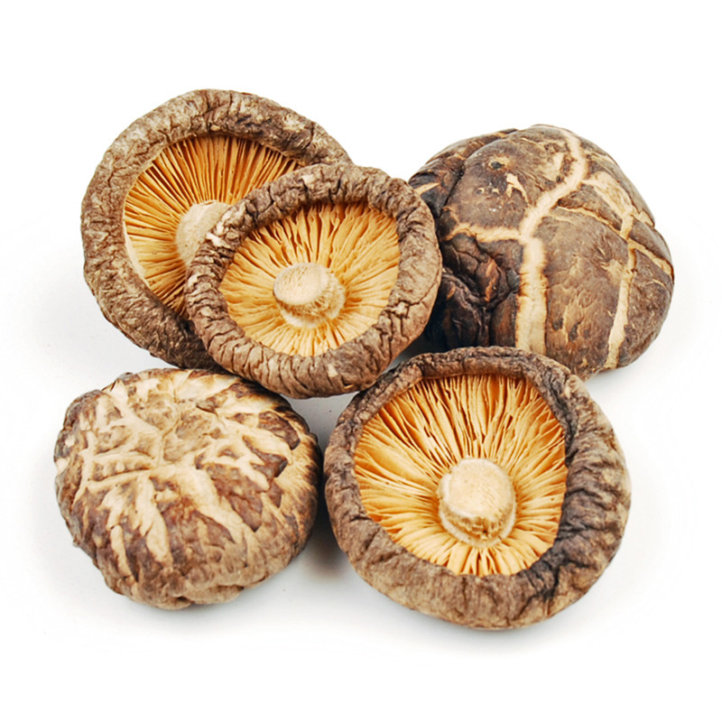 Dehydrated Shiitake Mushrooms New Dried Premium Shiitake Mushrooms