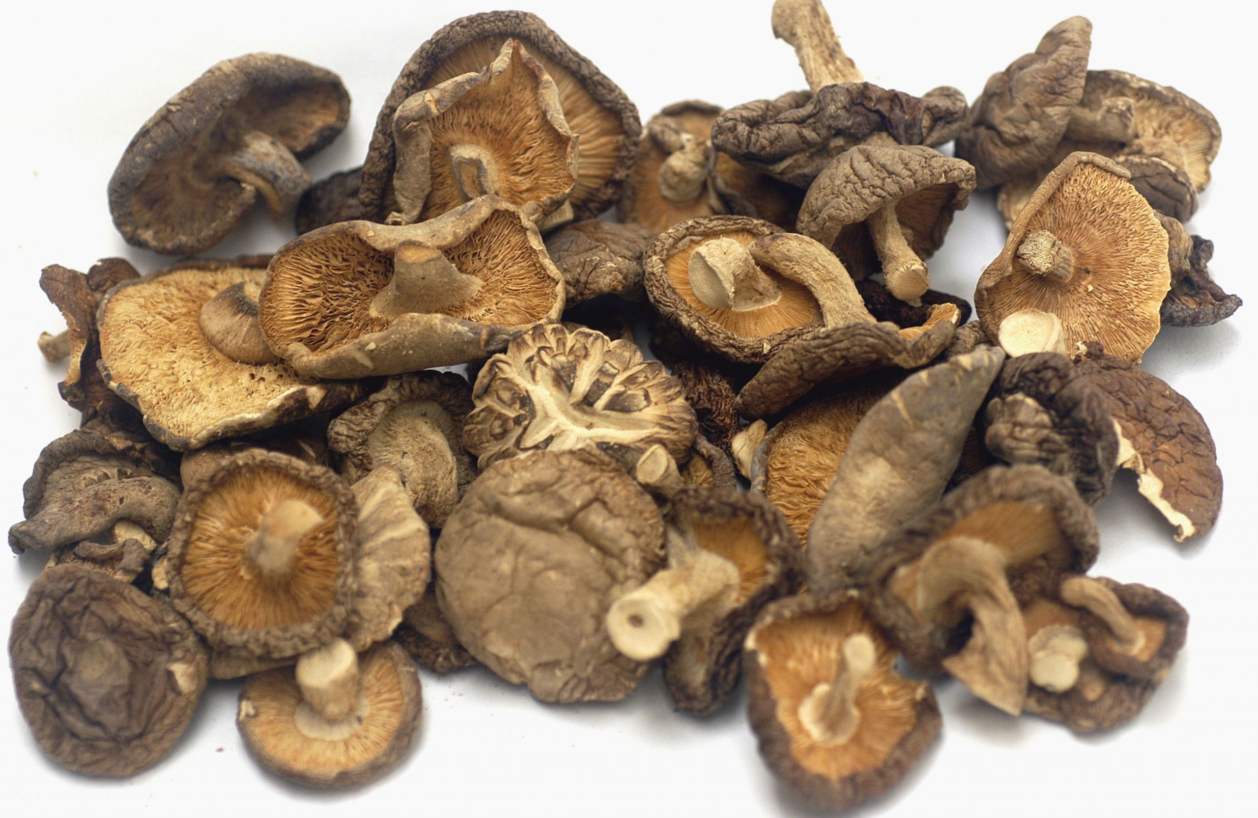 Dehydrated Shiitake Mushrooms
 Shiitake mushroom Fact Health Benefits & Nutritional Value