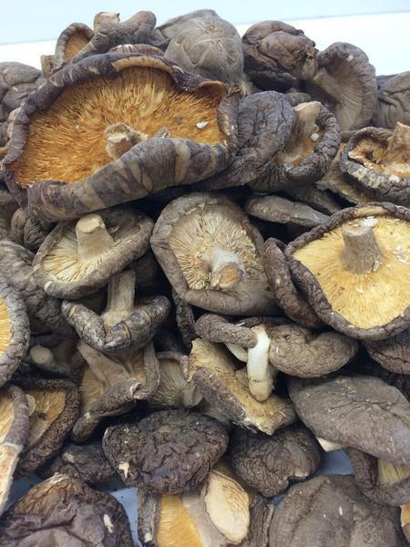 Dehydrated Shiitake Mushrooms
 Dried Shiitake Mushrooms whole bulk – Forest Mushrooms