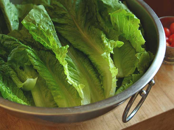 Does Cabbage Have Fiber
 Romaine Lettuce Nutrition Calories and Recipes
