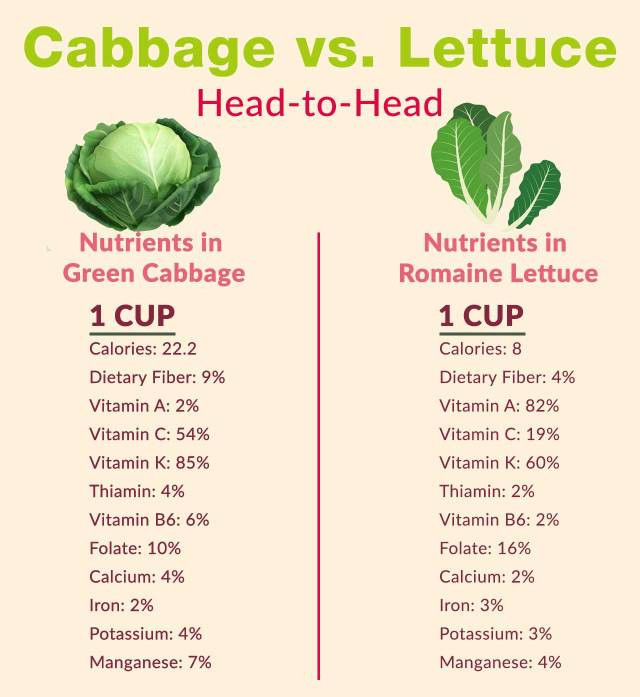 Does Cabbage Have Fiber
 Head to Head Cabbage vs Lettuce Which Is Healthier