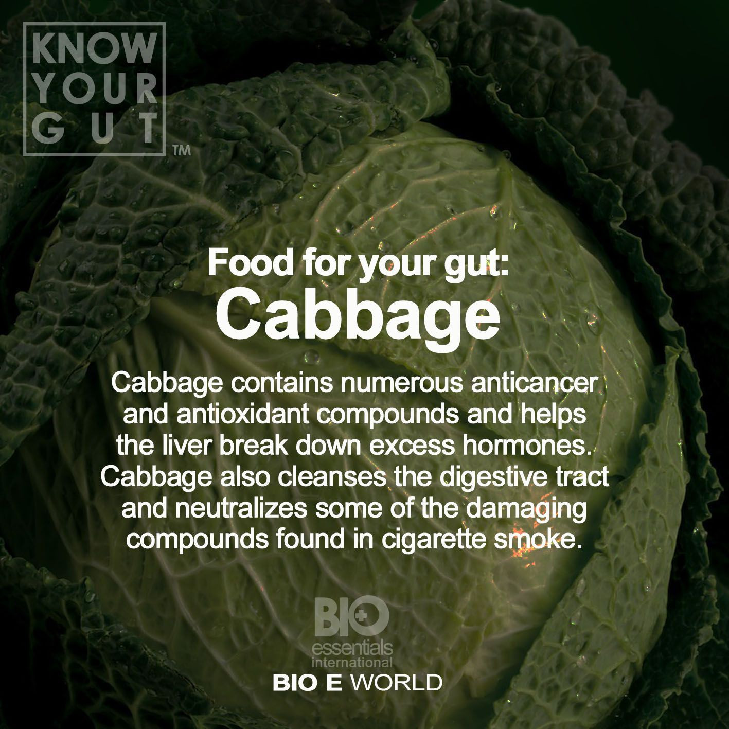 Does Cabbage Have Fiber
 Cabbage can provide you with some special cholesterol