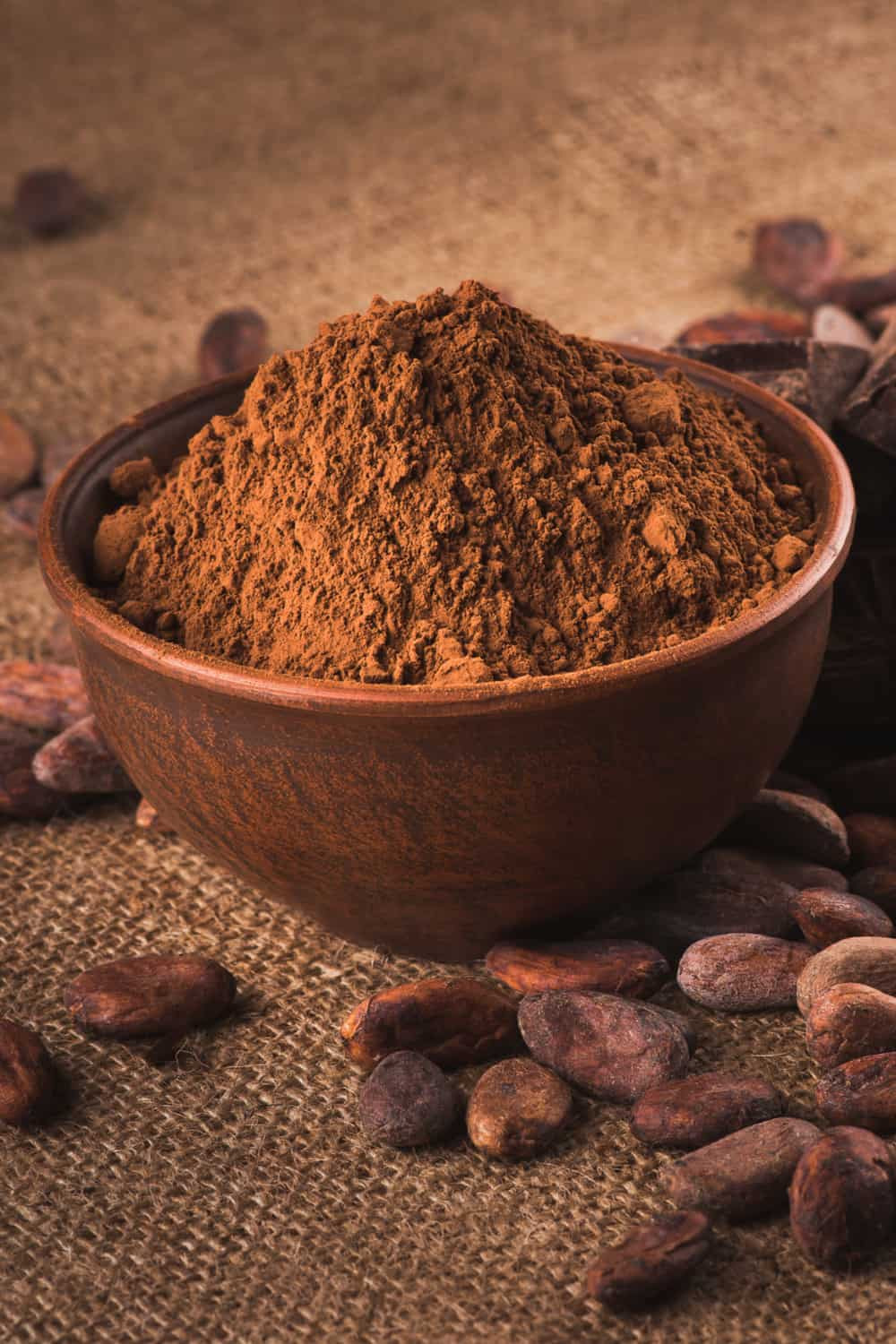 Does Cocoa Powder Have Dairy
 Does Hot Chocolate Expire 5 Ways to Determine