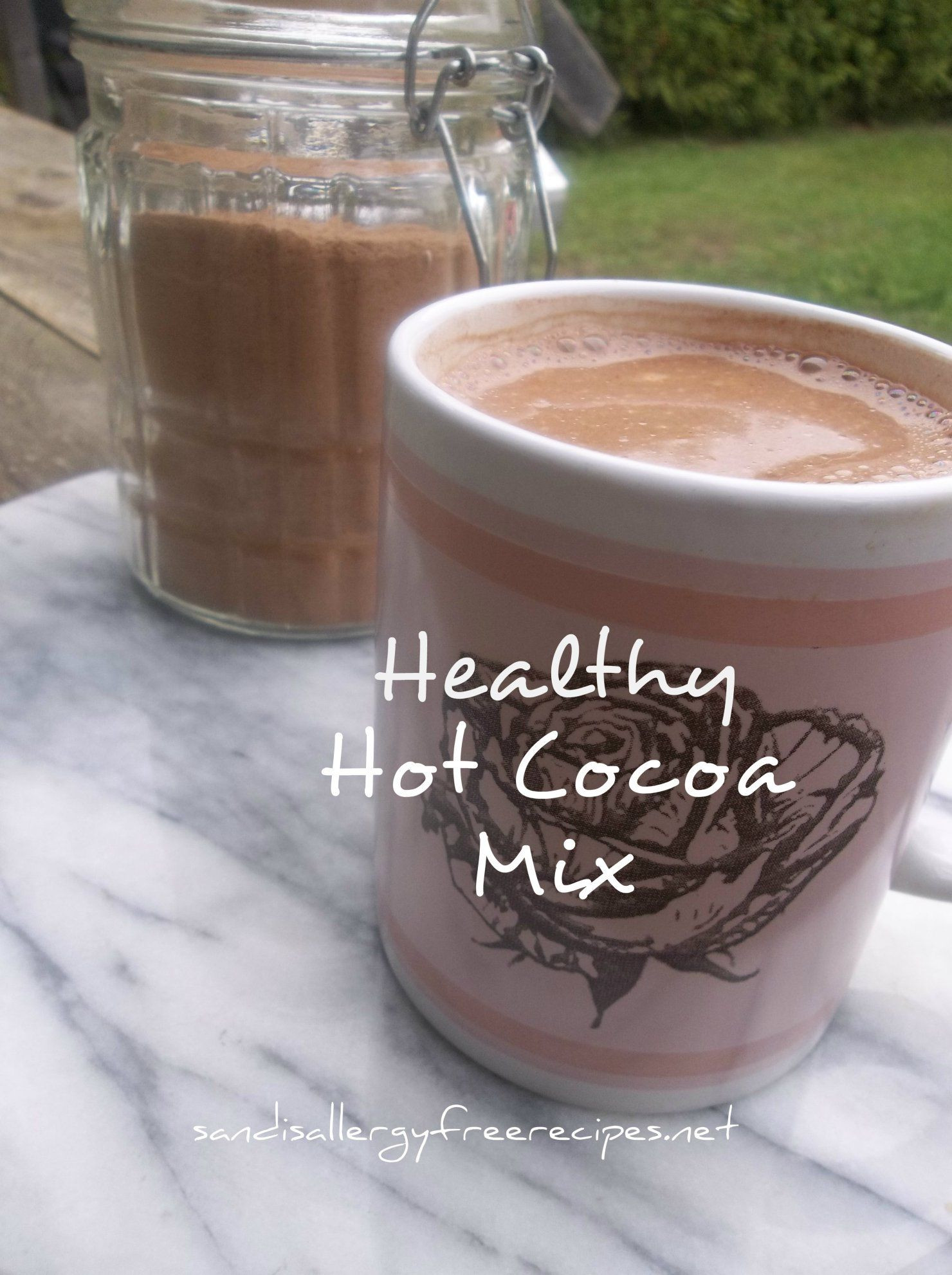 Does Cocoa Powder Have Dairy
 Healthy Hot Cocoa Mix Dairy Free Refined Sugar Free