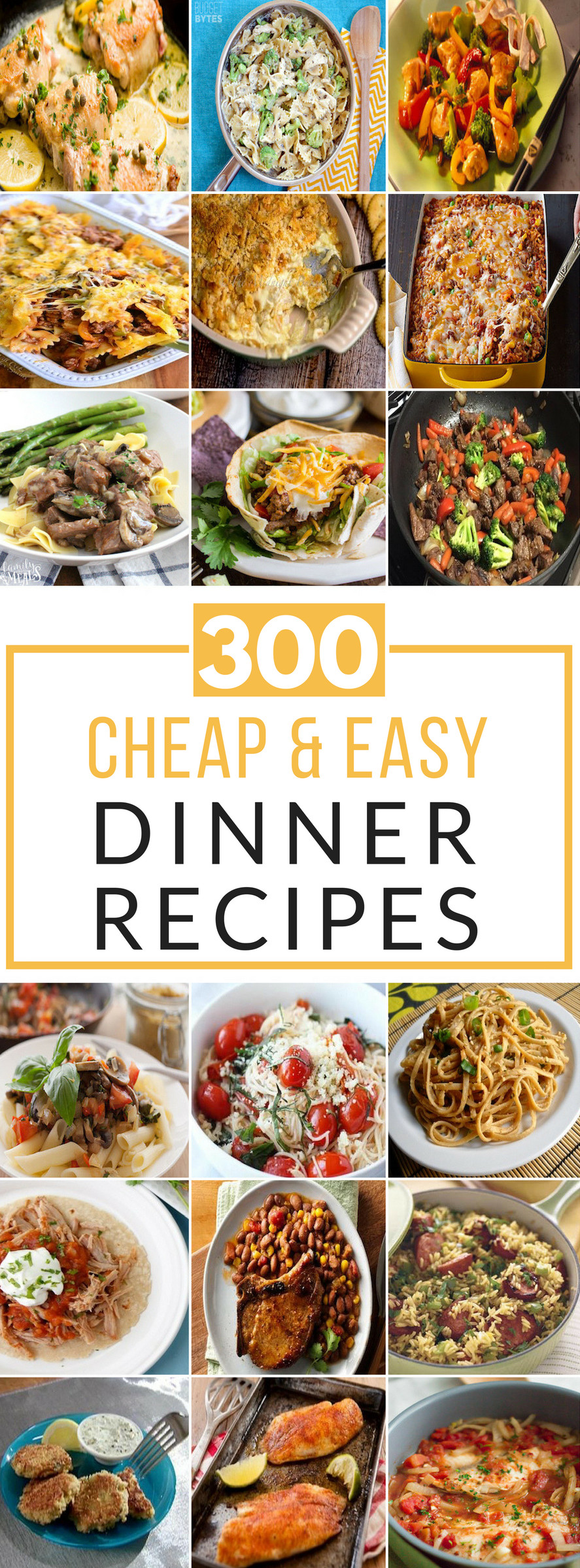 Easy Cheap Dinner Recipes
 300 Cheap and Easy Dinner Recipes Prudent Penny Pincher