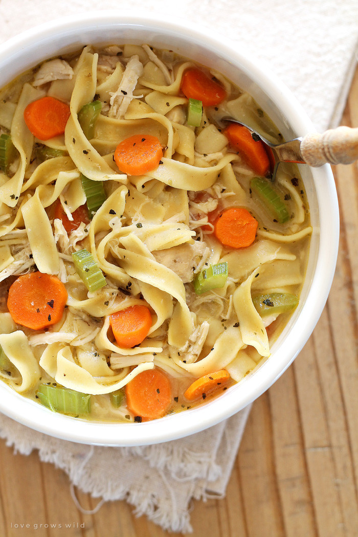 Easy Chicken Noodle soup Recipe Beautiful Quick and Easy Chicken Noodle soup Love Grows Wild