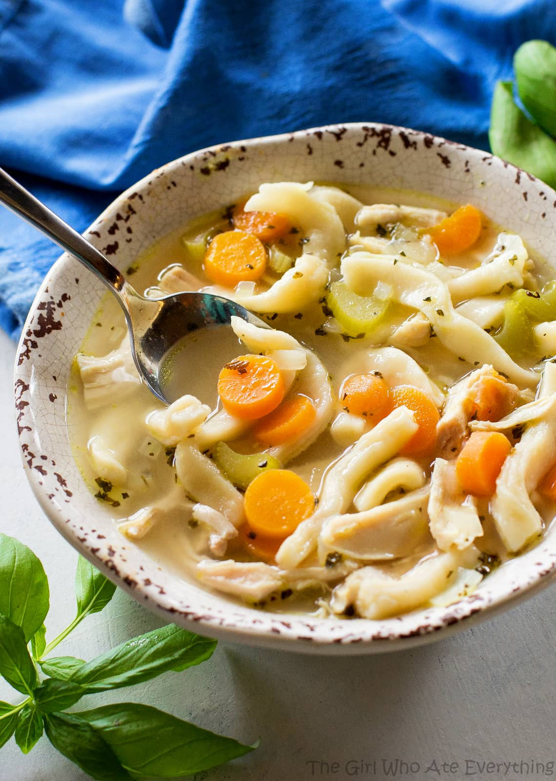 Easy Chicken Noodle Soup Recipe
 Homemade Chicken Noodle Soup The Girl Who Ate Everything