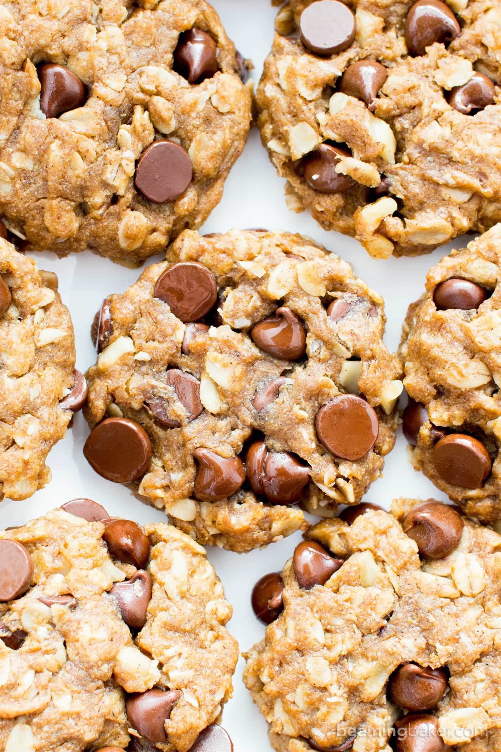 Easy Vegan Oatmeal Cookies
 Easy Gluten Free Peanut Butter Chocolate Chip Oatmeal